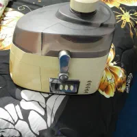 آبمیوه گیری یک کاره