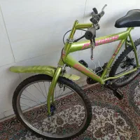 دوچرخه|دوچرخه، اسکیت، اسکوتر|پردیس, فاز ۱۱|دیوار