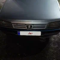 پژو داخل کرم بدون خرج استثنایی