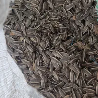 تخمه s400|خوردنی و آشامیدنی|شال, |دیوار