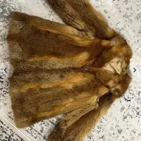 پالتو پوست آمریکایی