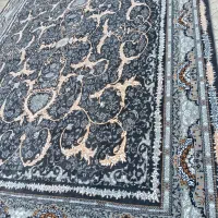 یک جفت فیلی