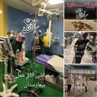 سمپاشی ساس،موش سوسک موریانه شپش گال(تضمینی)سم پاشی|خدمات نظافت|تهران, خلیج فارس|دیوار