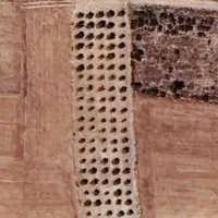 باغ بادام رقم پیوندی پوست کاغذی|فروش دفتر صنعتی، کشاورزی، تجاری|سنقر, |دیوار