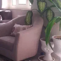 استخدام نجار مبلمان|استخدام صنعتی، فنی، مهندسی|برازجان, |دیوار