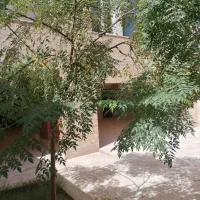 توری سبز رنگ افتاب گیر