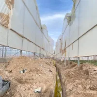 لوله کشی گاز صنعتی گلخانه و مرغداری