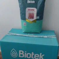 بذر لوبیا چیتی گلدن بیوتک ترکیه و لوبیا سبز مینا