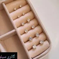 گوشواره میخی|بدلیجات|قم, باغ شریفی|دیوار