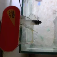 آکواریوم|ماهی|کرج, شهرک رضوانیه|دیوار