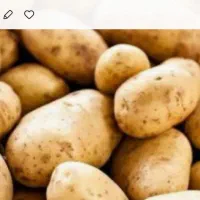 جویای کار در انبار