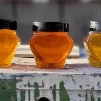 عسل (عمده)|عمده‌فروشی|تهران, سلسبیل شمالی|دیوار