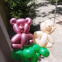 آموزش بادکنک آرایی درشیراز (شغل پردرآمد و پرسود)|خدمات آموزشی|شیراز, ملاصدرا|دیوار