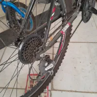 دوچرخه ویوا ۲۶ در حد نو سند دار|دوچرخه، اسکیت، اسکوتر|بجنورد, |دیوار