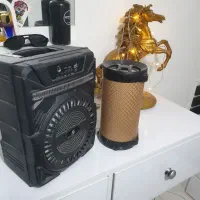 دو عدد اسپیکر