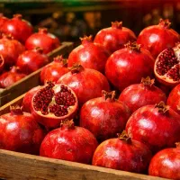 استخدام صندوقدار و کارگرحرفه‌ای برای میوه فروشی