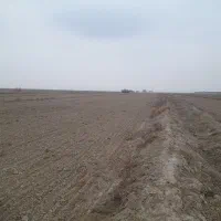 زمین-برای-کشت-شراکتی-میخوام-اطراف-گنبد