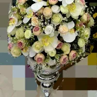 جام کل بله برون و خواستگاری مصنوعی