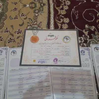 بازرگان نشسته|پرنده|باوی, |دیوار