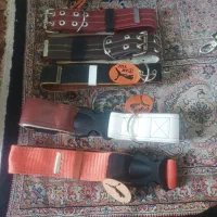 قلاده سگ
