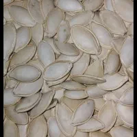 کدو گوشتی|عمده‌فروشی|شیراز, شهرک ایثار|دیوار