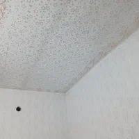 رنگ کاری و طرح کاغذدیو