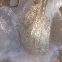 عسل محلی با موم وصاف شده موجود مقدار محدود|خوردنی و آشامیدنی|اسیر, |دیوار