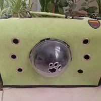 باکس سگ و گربه