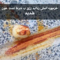 مهره افغان|جواهرات|اهواز, شریعتی جنوبی|دیوار