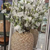 گل شکوفه بهاری