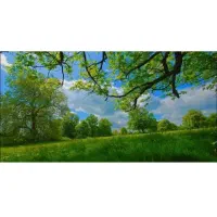 دورهمی(کوهمره تور)