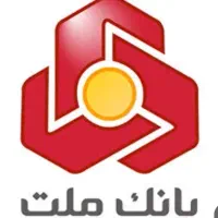 راهنمایی داوطلبانه