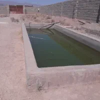 اجاره 2000متر کارگاه دامداری و گاوداری چترود