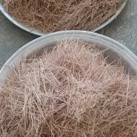 آشلل|خوردنی و آشامیدنی|دامغان, |دیوار