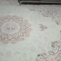 فرش ۷۰۰شانه