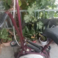 دوچرخه ثابت|دوچرخه، اسکیت، اسکوتر|معصومیه, |دیوار