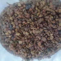 کشمش اعلا تاکستان