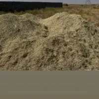 خار دانه دار نرم|لوازم جانبی حیوانات|تربت جام, جامرود|دیوار