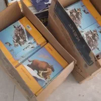 دو دستگاه پانچ فنر زنی و دو دستگاه کاتر بزرگ|ماشین‌آلات صنعتی|کیش, |دیوار