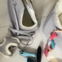 وسایل سگ و گربه|لوازم جانبی حیوانات|قدس, شهر‌قدس|دیوار