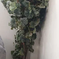 گلدون|گل مصنوعی|تهران, طیب|دیوار