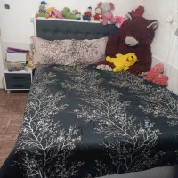 تخت|تخت و سرویس خواب|بیرجند, |دیوار