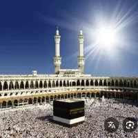 2عددفیش طمطع همراه هم