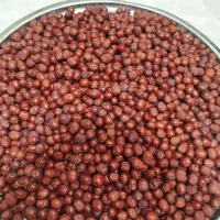 عناب امسالی|خوردنی و آشامیدنی|مشهد, شهرک مهر آباد|دیوار