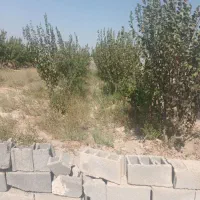 باغچه-چهاردیواری-با-در-ماشیندو
