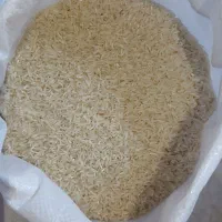 فجر سوزنی زرین‌گل