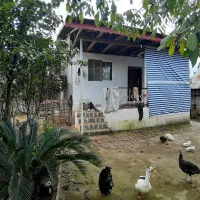 750متر زمین مسکونی با بنا قابل سکونت /*|فروش خانه و ویلا|لشت نشا, |دیوار