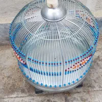 قفس پرنده