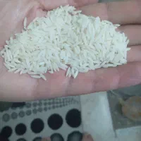 برنج طارم هاشمی اصل فریدون کنار تضمینی کشت اول
