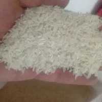 سوپر لاشه فجر سوزنی ۹۰ روزه امساله